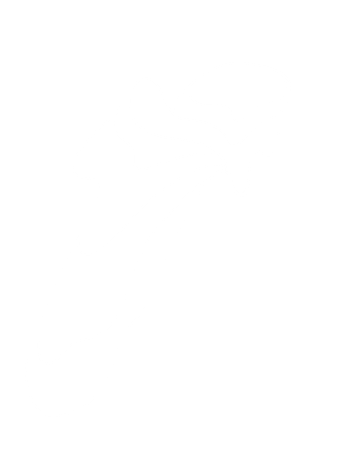 RIPTIDE STRATEGIC ADVISORY